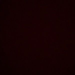 Meet your Posher, Bailey